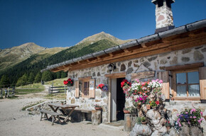 Malga di Cloz und Cima Belmonte | © APT Val di Non 