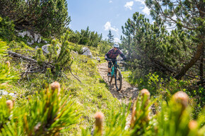 Giada Line | © APT Dolomiti di Brenta e Paganella