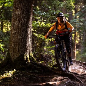 804 "Ranzo-Andalo MTB" | © APT Dolomiti di Brenta e Paganella