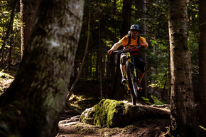 810 "Giuel Trail" | © APT Dolomiti di Brenta e Paganella