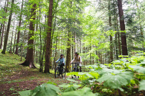 797 "Tour Cavedago" | © APT Dolomiti di Brenta e Paganella