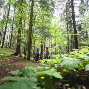 797 "Tour Cavedago" | © APT Dolomiti di Brenta e Paganella