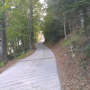 Aufstieg zur Hütte Meriz | © APT Dolomiti di Brenta e Paganella