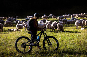 803 "Monte Corno" | © APT Dolomiti di Brenta e Paganella
