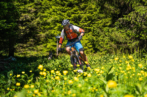 820 - Folgaria - Costa - Francolini | © Azienda per il Turismo Alpe Cimbra