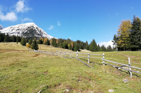Malghe delle Maddalene | © APT Val di Non 