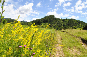 Biotop Brozin | © APT Fiemme Cembra