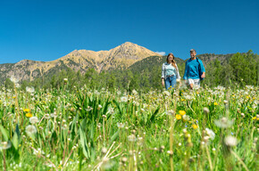 Walk in the meadows | © APT Fiemme Cembra