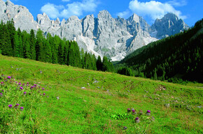Val Venegia - Am Fuße der Dolomiten Pale di San Martino | © Trentino Marketing