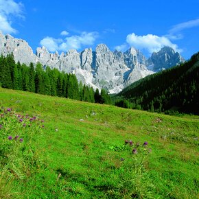 Val Venegia - Am Fuße der Dolomiten Pale di San Martino | © Trentino Marketing