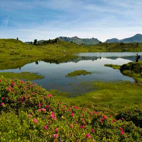 Buse See | © APT Fiemme Cembra