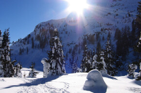 Direction Colbricon Lake | © APT Fiemme Cembra