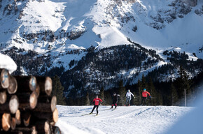 Campiol | © APT Fiemme Cembra