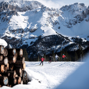 Campiol | © APT Fiemme Cembra