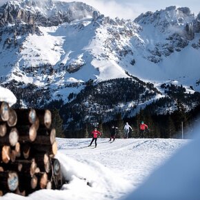 Campiol | © APT Fiemme Cembra