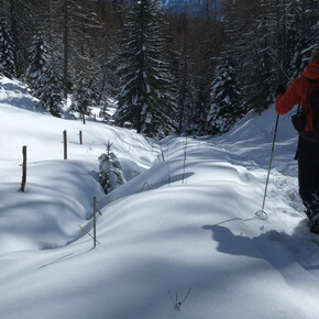 Richtung Cazzorga | © APT Fiemme Cembra