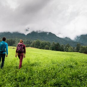 Marzola trekking | © Azienda per il Turismo Alpe Cimbra