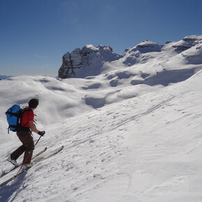 Cima Vallazza and Cima Roma in the background | © VisitTrentino