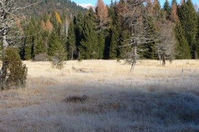 Naturschutzgebiet i Mughi | © APT Valsugana e Lagorai