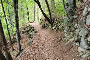 Der Weg im Wald | © APT Valsugana e Lagorai