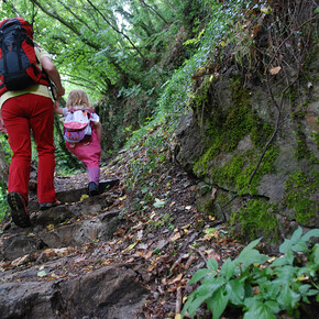 Sentiero Pian di Mela | © APT Valsugana e Lagorai