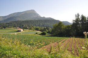 Berg Creino - Val di Gresta | © APT Rovereto Vallagarina Monte Baldo