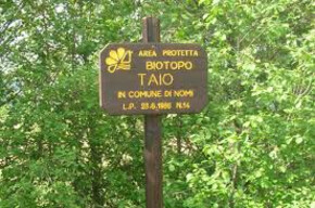 il Taio di Nomi- visitrovereto | © APT Rovereto Vallagarina Monte Baldo