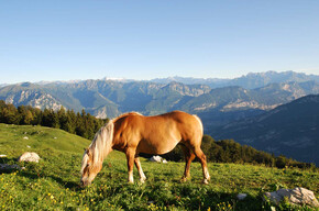 Val del Parol | © APT Rovereto Vallagarina Monte Baldo