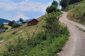 Landschaft der Ortslage Ai Magri im letzten Abschnitt des Wegs | © APT Valsugana e Lagorai