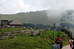 Spaziergang über die Almenwiesen von Malga Susine | © APT Rovereto Vallagarina Monte Baldo