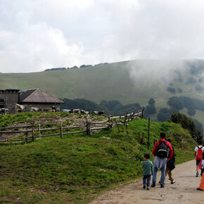 Walk among the pastures of Malga Susine | © APT Rovereto Vallagarina Monte Baldo