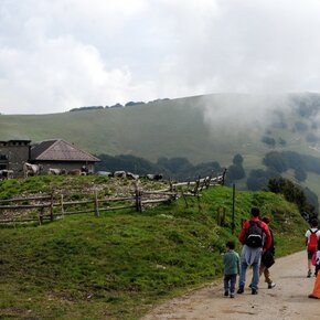 Walk among the pastures of Malga Susine | © APT Rovereto Vallagarina Monte Baldo