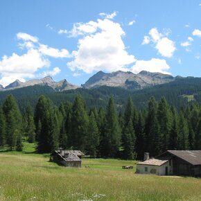 Bellamonte - Huts | © APT Fiemme Cembra