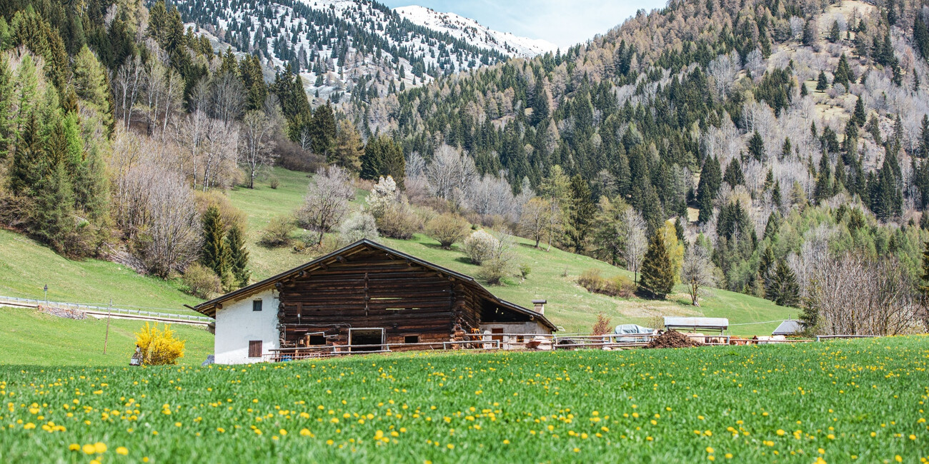 Bellamonte  #1 | © APT Fiemme Cembra