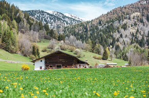 Spring in Bellamonte | © APT Fiemme Cembra