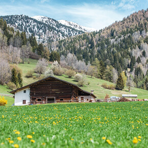 Spring in Bellamonte | © APT Fiemme Cembra
