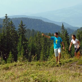 On the way | © APT Fiemme Cembra