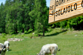 Wegweiser | © APT Fiemme Cembra