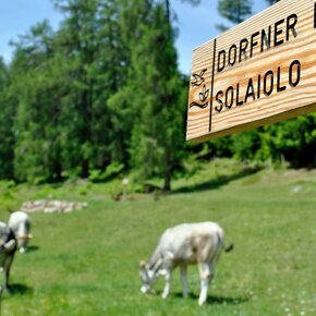 Signpost | © APT Fiemme Cembra