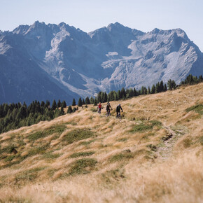 Trail Malga Campo No. 707 | © APT Valli di Sole, Peio e Rabbi