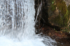 Der Gesang des Linor – Blauer Wanderweg im Nordic Walking Park "Alta Val di Non" Cavareno | © APT Val di Non 