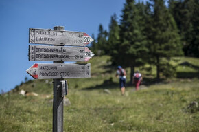 Farm Path - Höfeweg | © APT Val di Non 