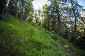 Trail Larici Secolari No. 703 | © APT Valli di Sole, Peio e Rabbi