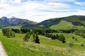Verso la piana delle Viote | © APT Trento 