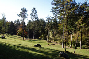 Meadows at Bindesi | © APT Trento 