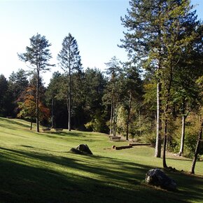 Meadows at Bindesi | © APT Trento 