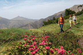 Route around Monte Cornon | © APT Fiemme Cembra