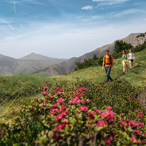 Rund um den Monte Cornon | © APT Fiemme Cembra
