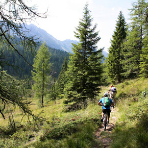valsorda-enduro-trail | © APT San Martino di Castrozza, Primiero e Vanoi