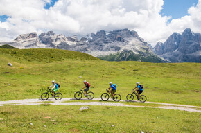 Summer route Malga Fevri-Descent Fevri 5-Photo Bisti | © Madonna di Campiglio Azienda per il Turismo 